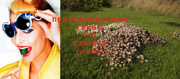 синтетический гашиш Богородицк