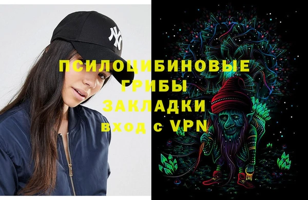 PSILOCYBIN Белокуриха