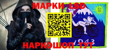 дмт Кингисепп