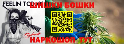 дмт Кингисепп