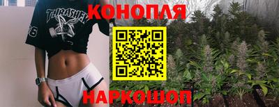 дмт Кингисепп