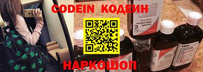 дмт Кингисепп